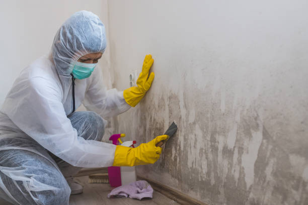 Best Mold Cleaning Services  in Skidmore, TX