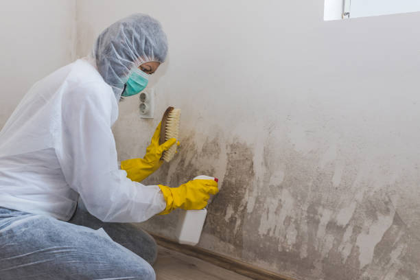Best Emergency Mold Removal  in Skidmore, TX