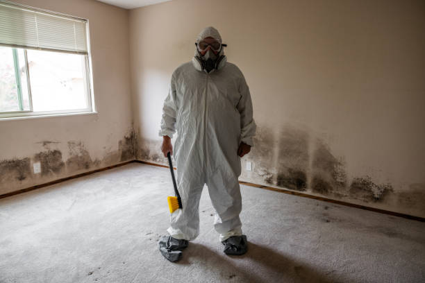 Best Mold Removal Process  in Skidmore, TX