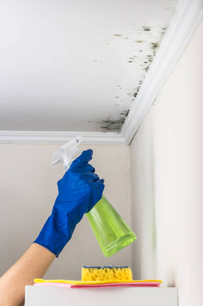 Best Mold Removal Company Near Me  in Skidmore, TX